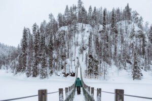 Rovaniemi, Finnish Lapland