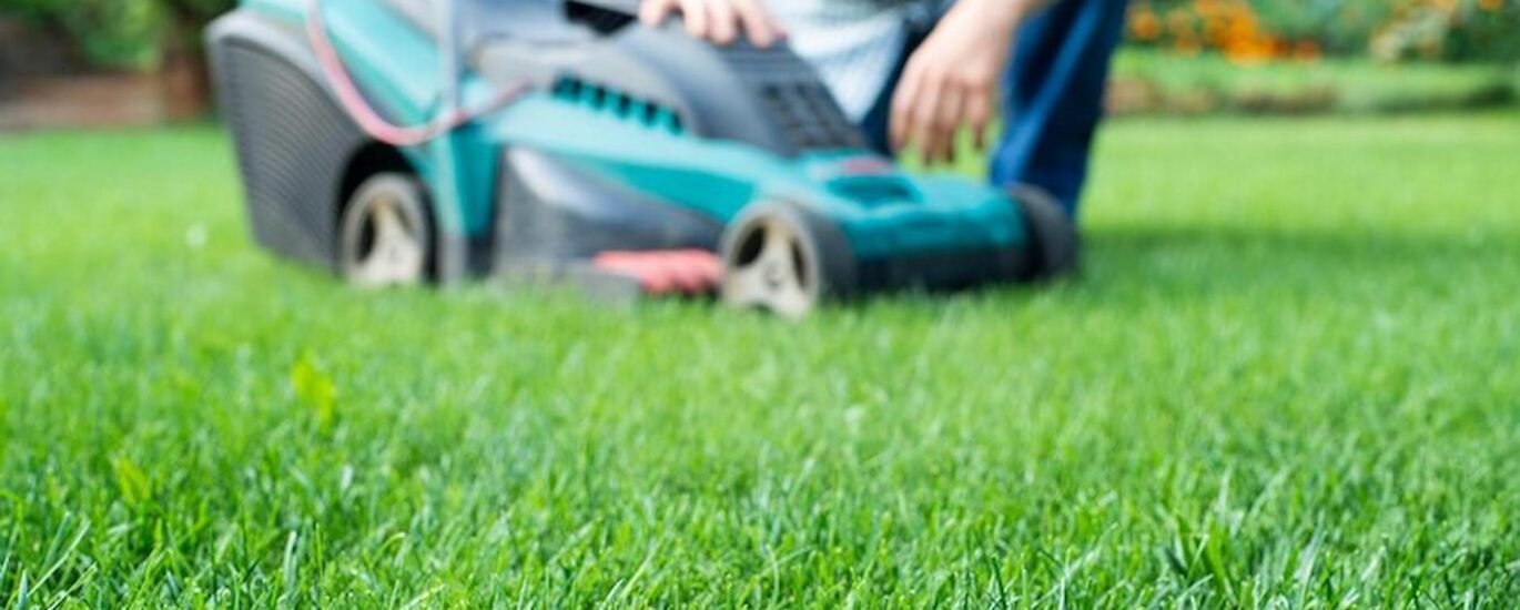 Organic Lawn Care