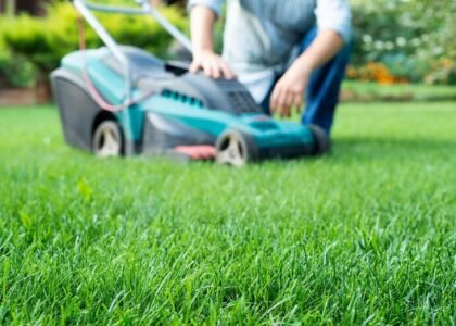 Organic Lawn Care